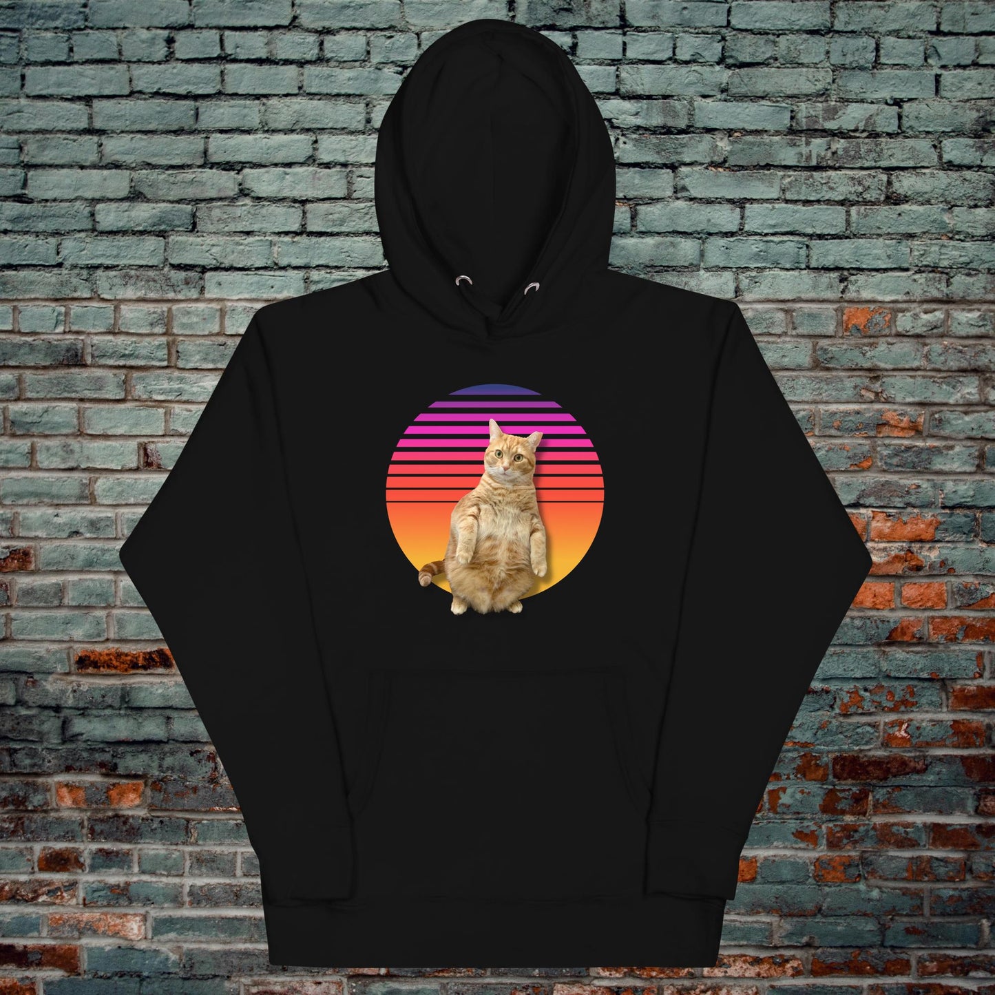 Retro Sunset Standing Cat Hoodie