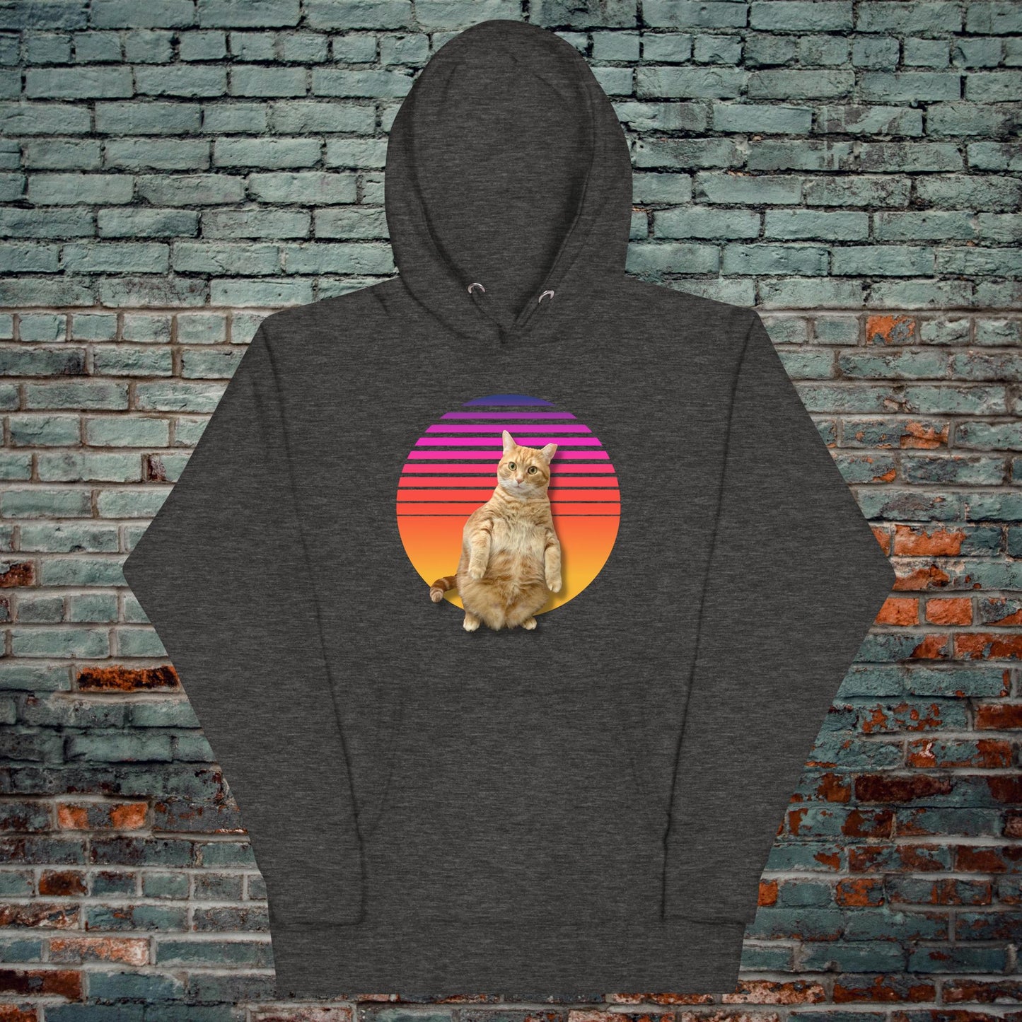 Retro Sunset Standing Cat Hoodie