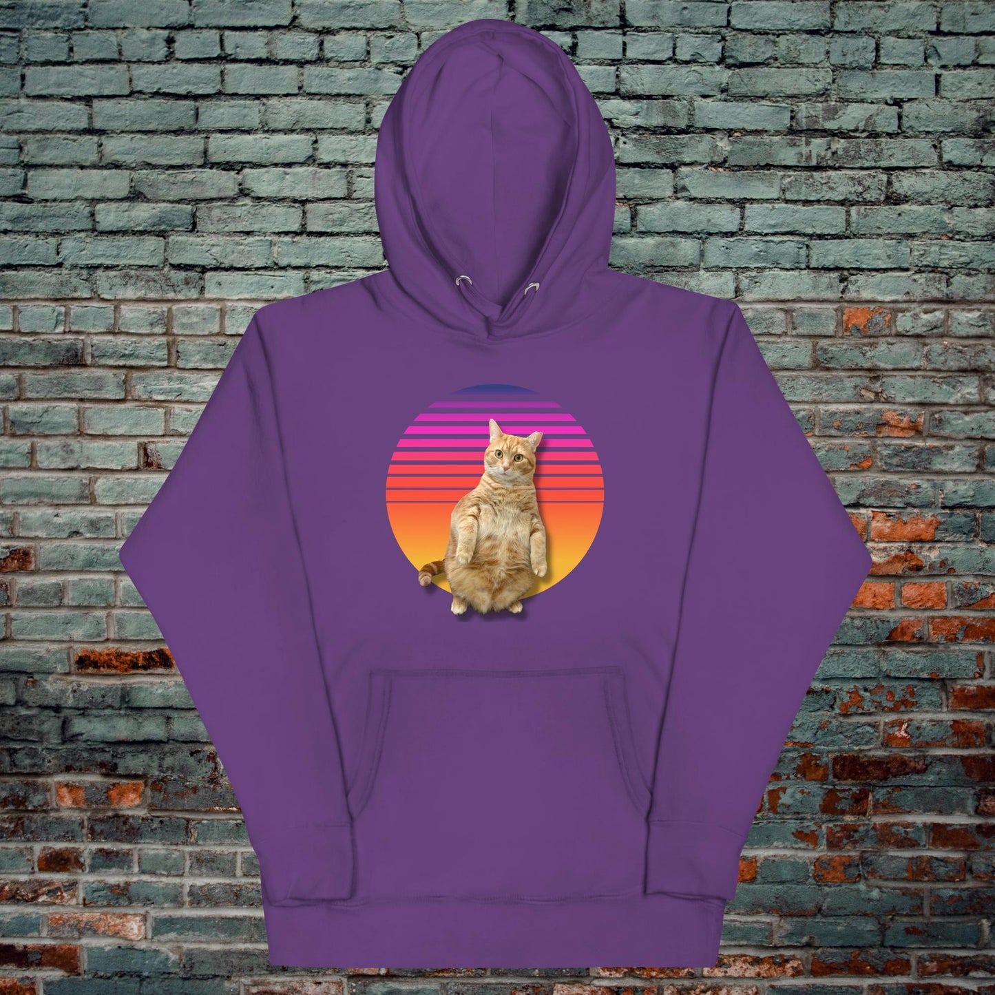 Retro Sunset Standing Cat Hoodie