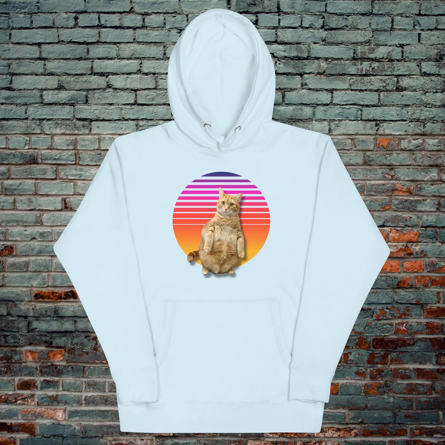 Retro Sunset Standing Cat Hoodie