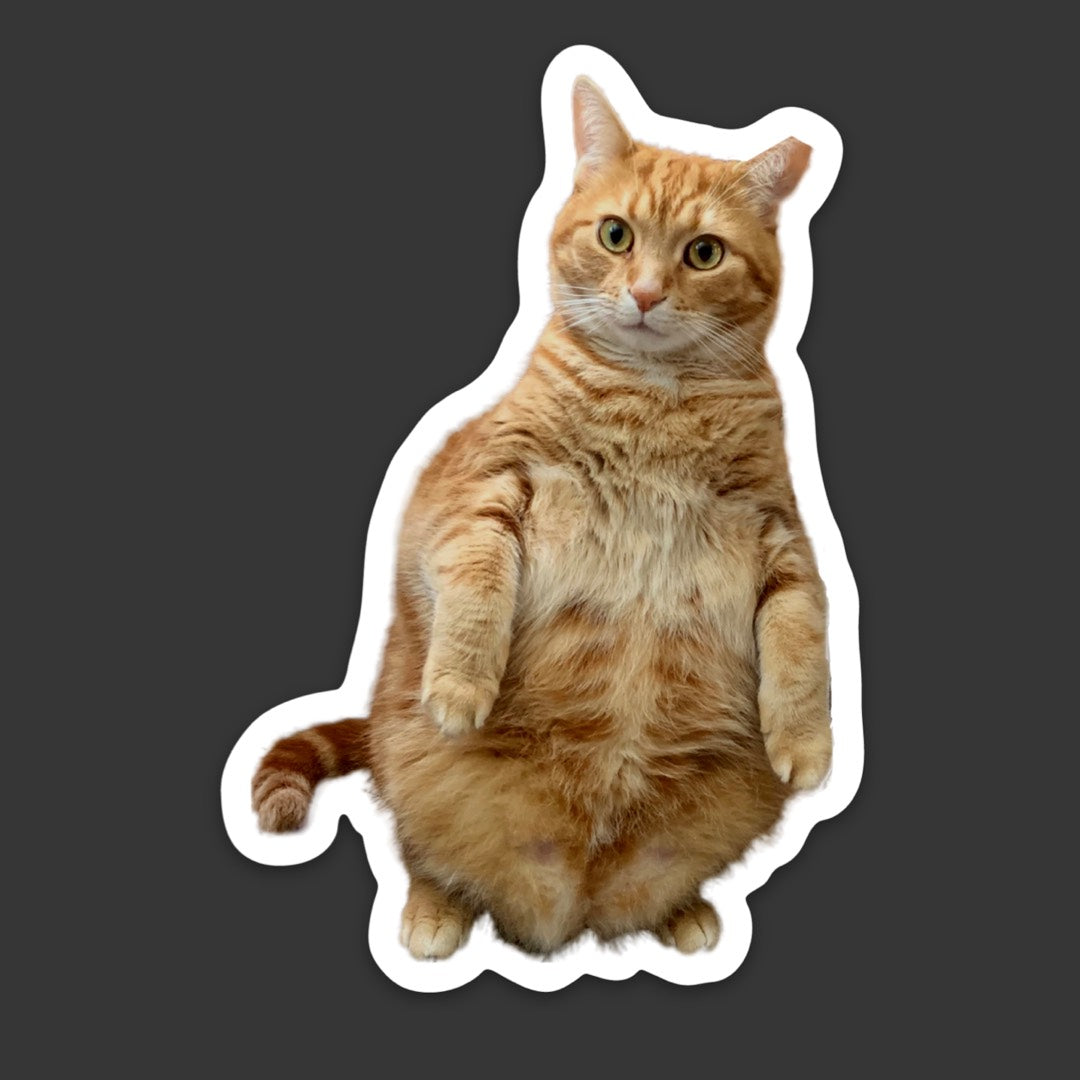 Standing Orange Cat 3.5” die-cut sticker