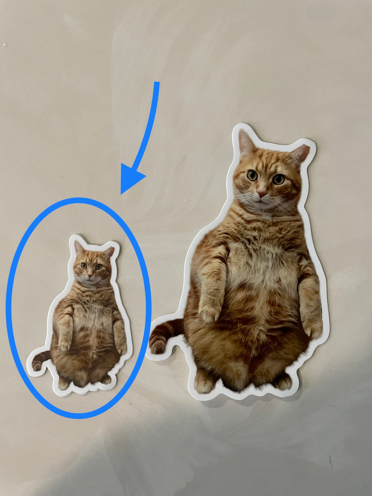 Standing Orange Cat 3.5” die-cut sticker