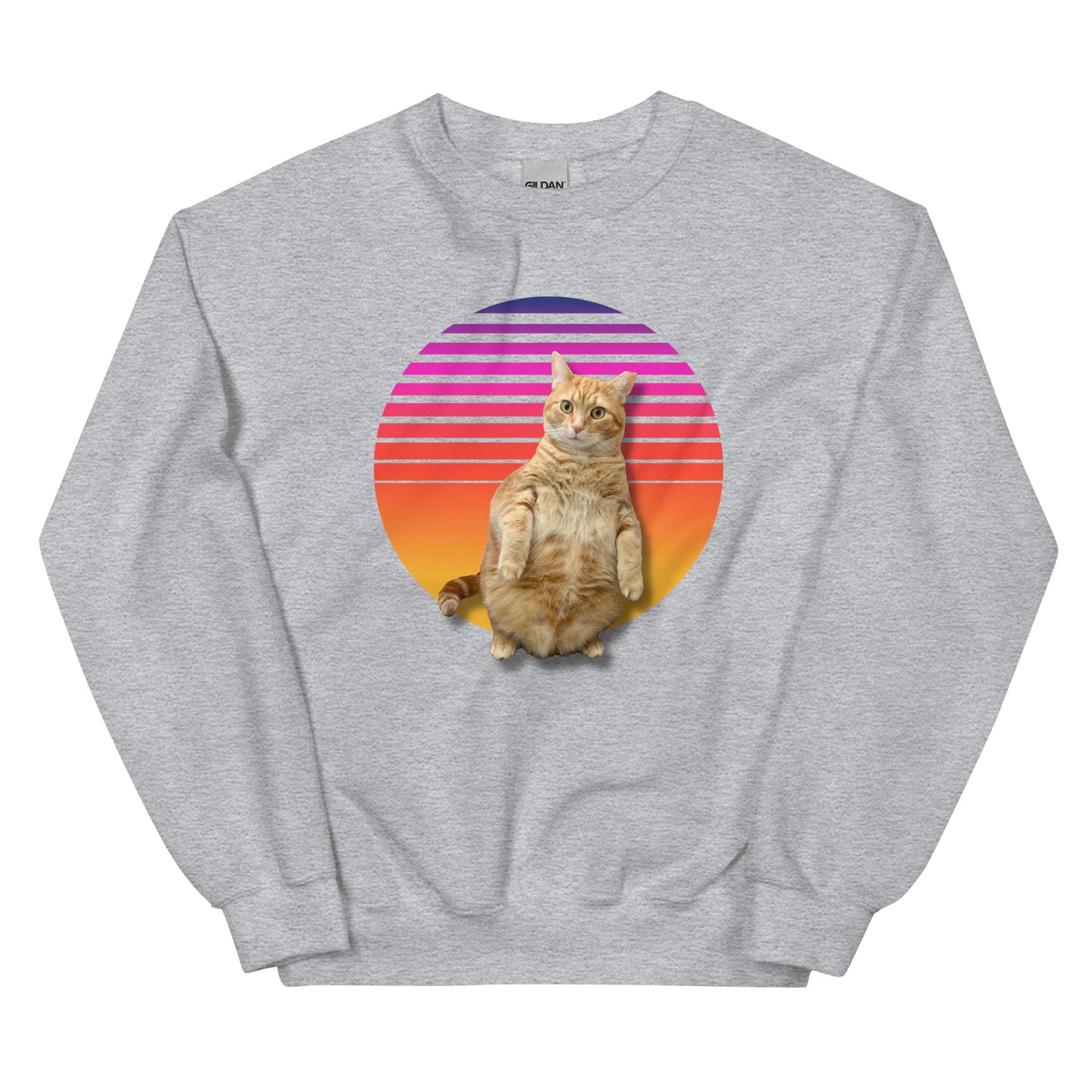 Retro Sunset Unisex Sweatshirt - Standing Orange Cat