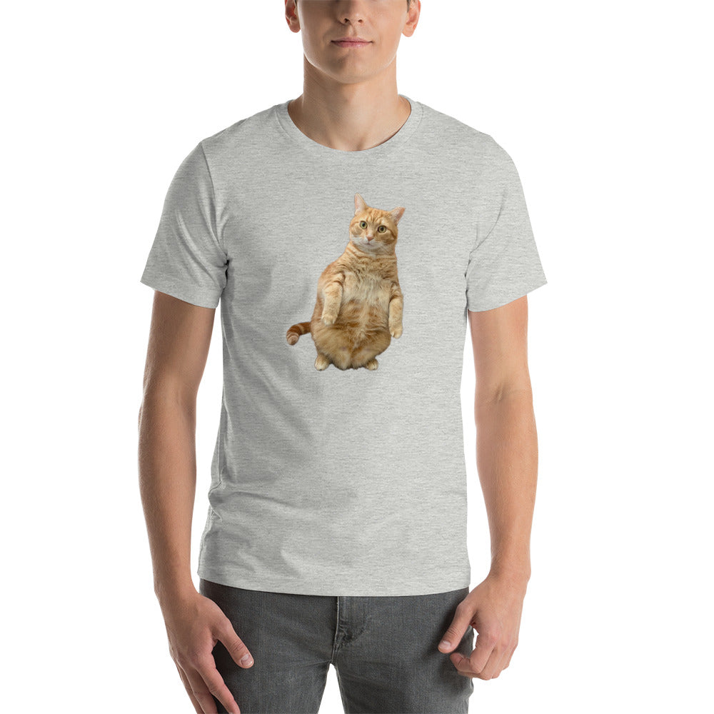 Standing Cat Unisex Heather t-shirt