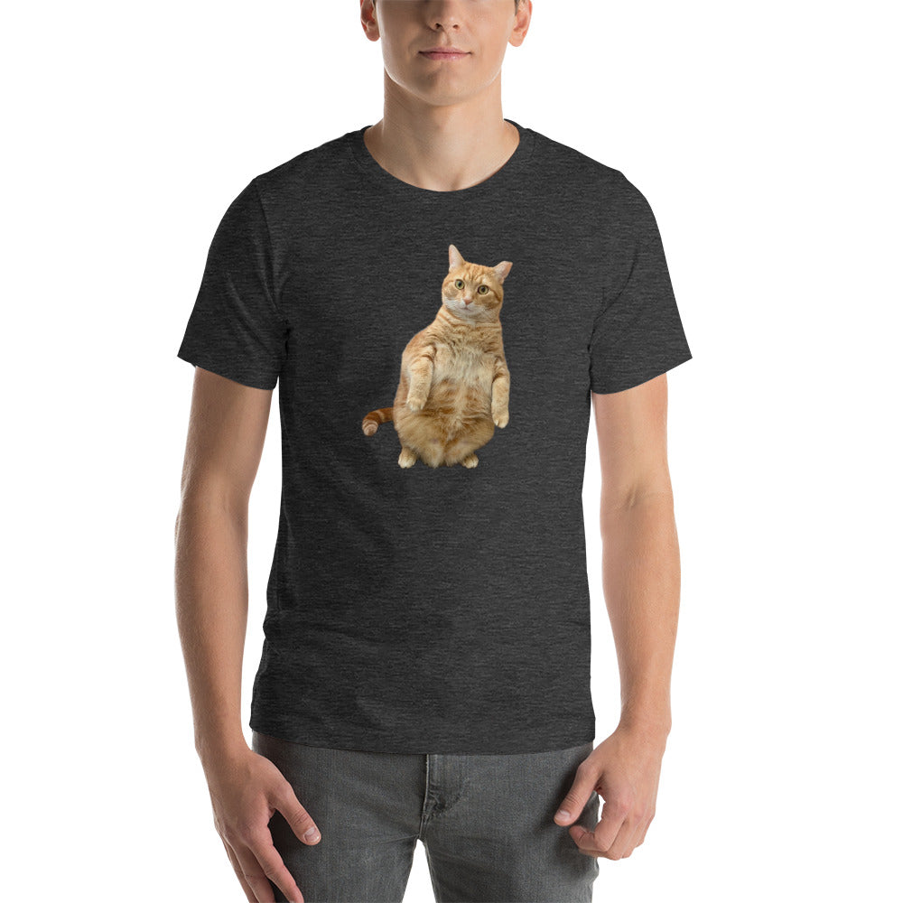 Standing Cat Unisex Heather t-shirt