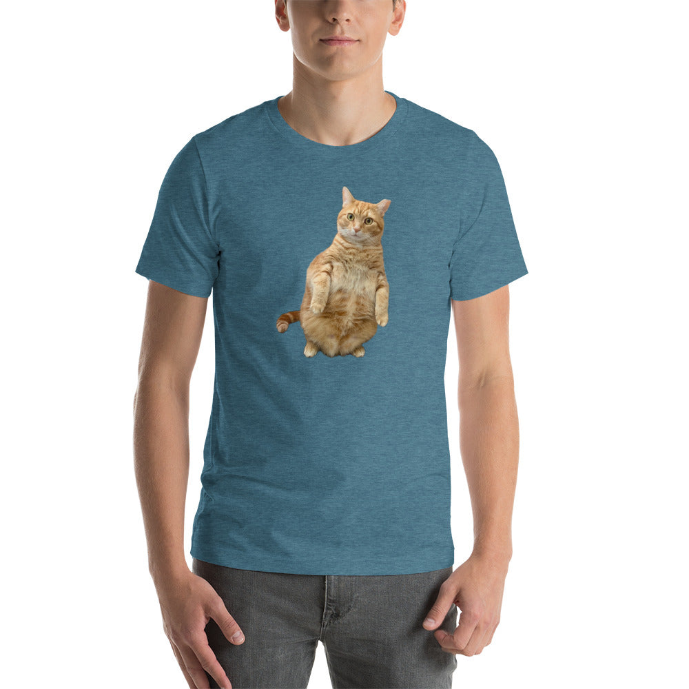 Standing Cat Unisex Heather t-shirt