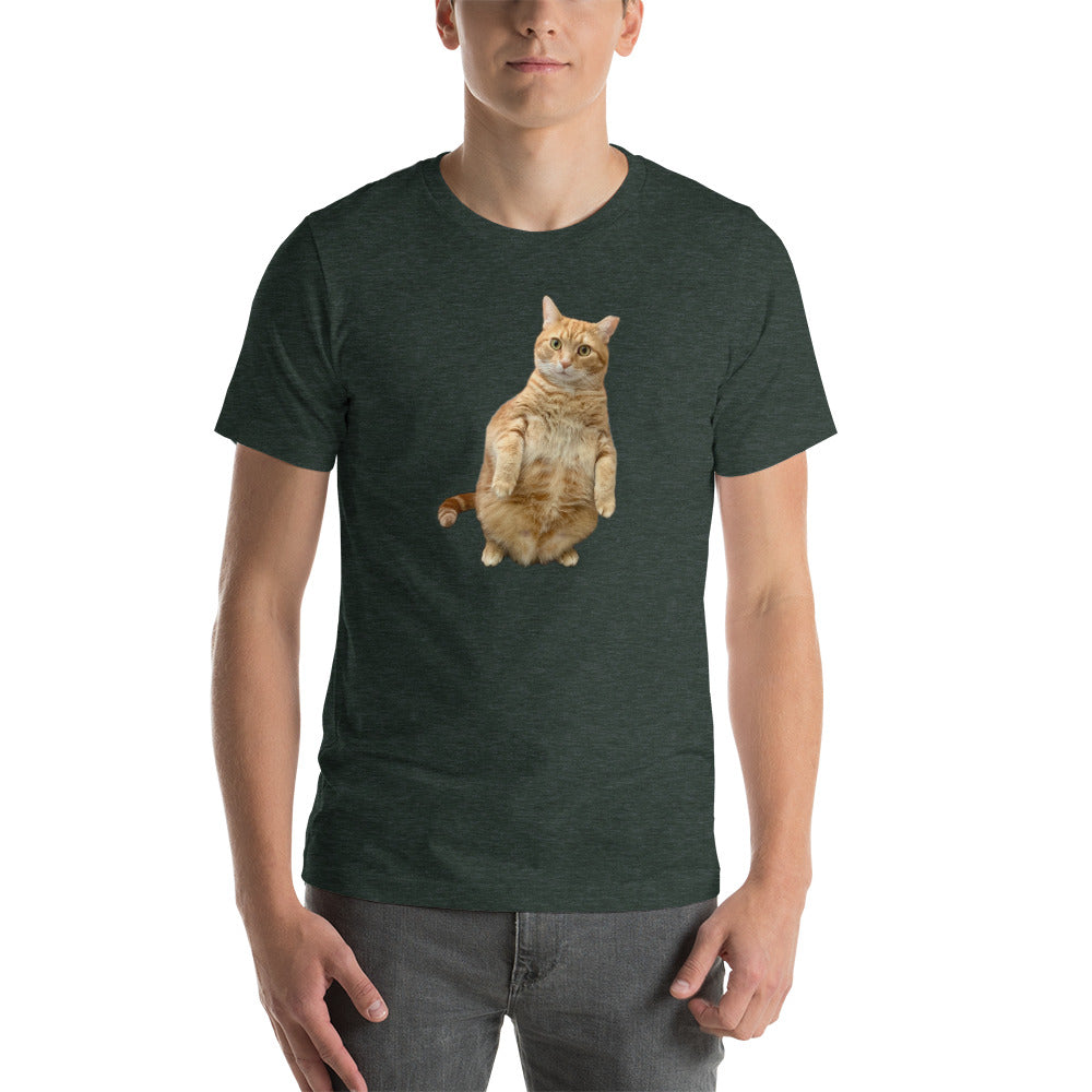 Standing Cat Unisex Heather t-shirt