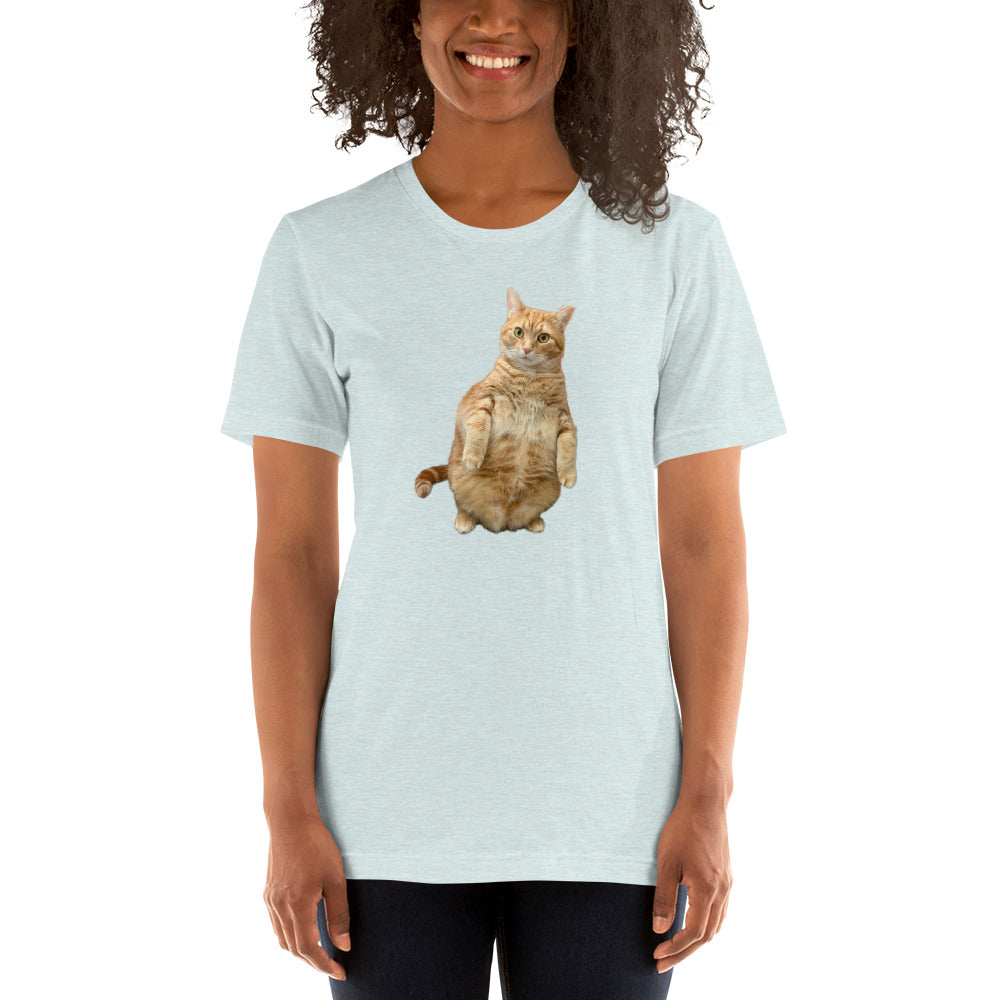 Standing Cat Unisex Heather t-shirt