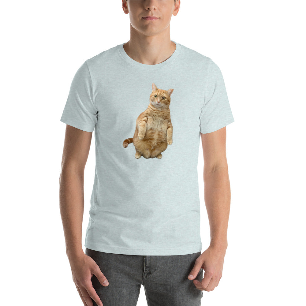 Standing Cat Unisex Heather t-shirt