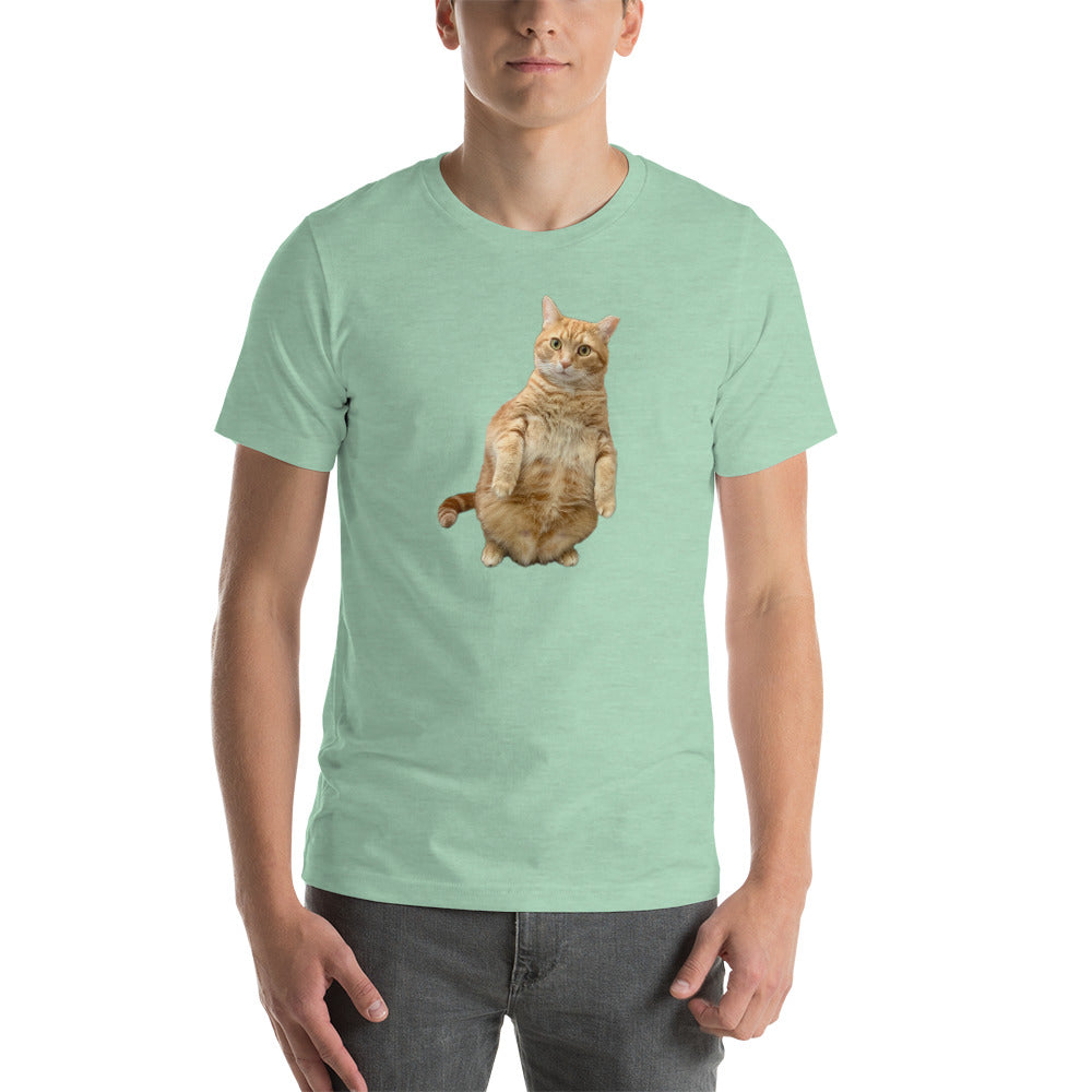 Standing Cat Unisex Heather t-shirt