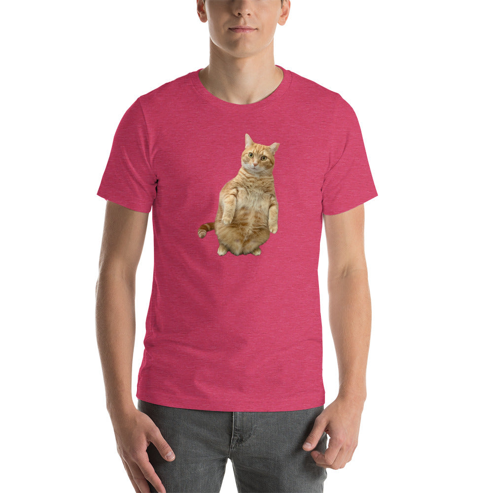 Standing Cat Unisex Heather t-shirt